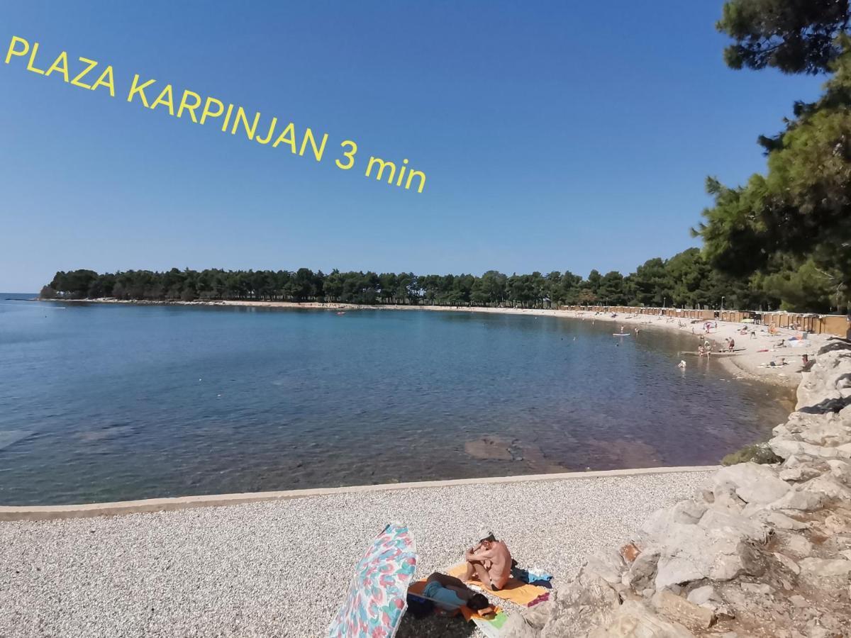 Apartman Hola Novigrad  Luaran gambar